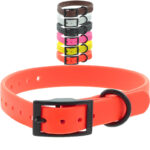 COLLIER CTECH C141900 800x800