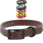 COLLIER CTECH C141909 800x800