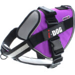 HARNAIS NEOCITY PURPLE I01P